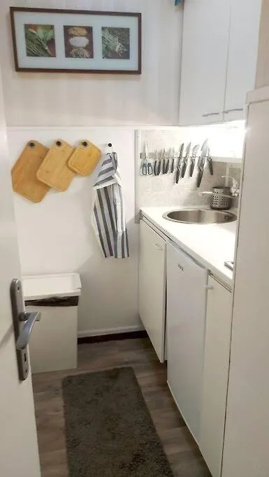 Delux Castle Buda Deluxe Apartment 布达佩斯 匈牙利
